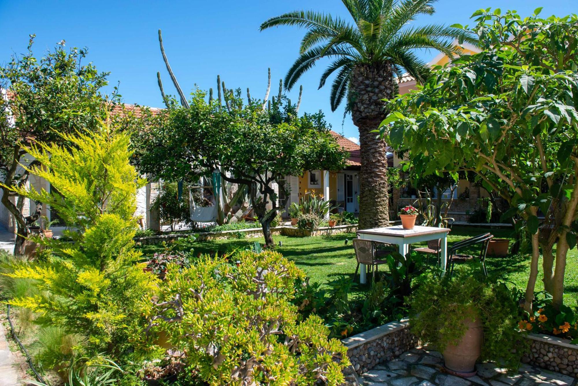 Alex Studios & Apartments Arillas  Exteriér fotografie