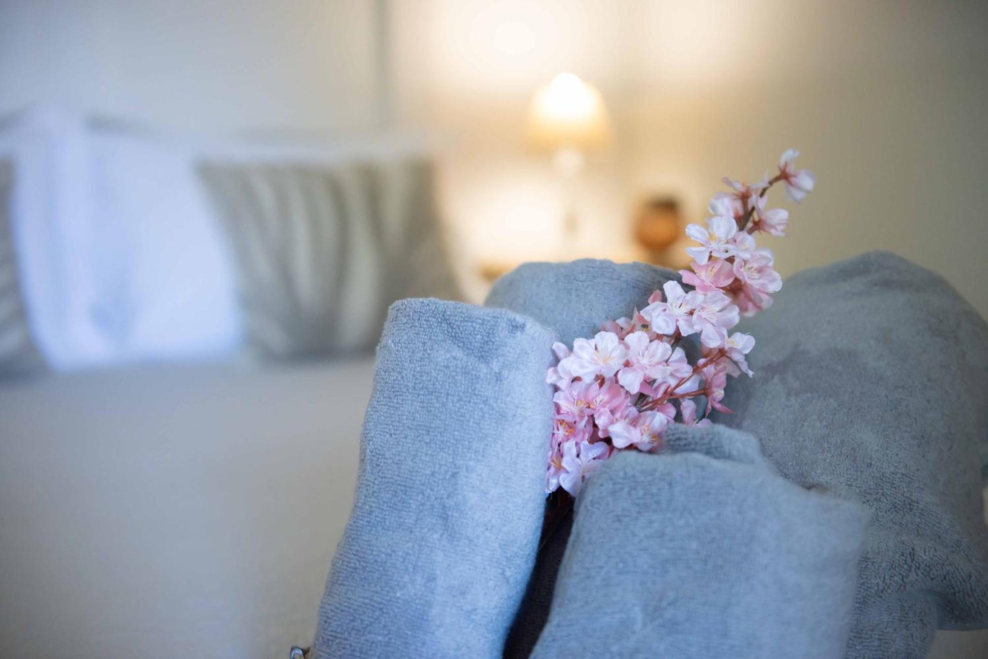 Alex Studios & Apartments Arillas  Exteriér fotografie