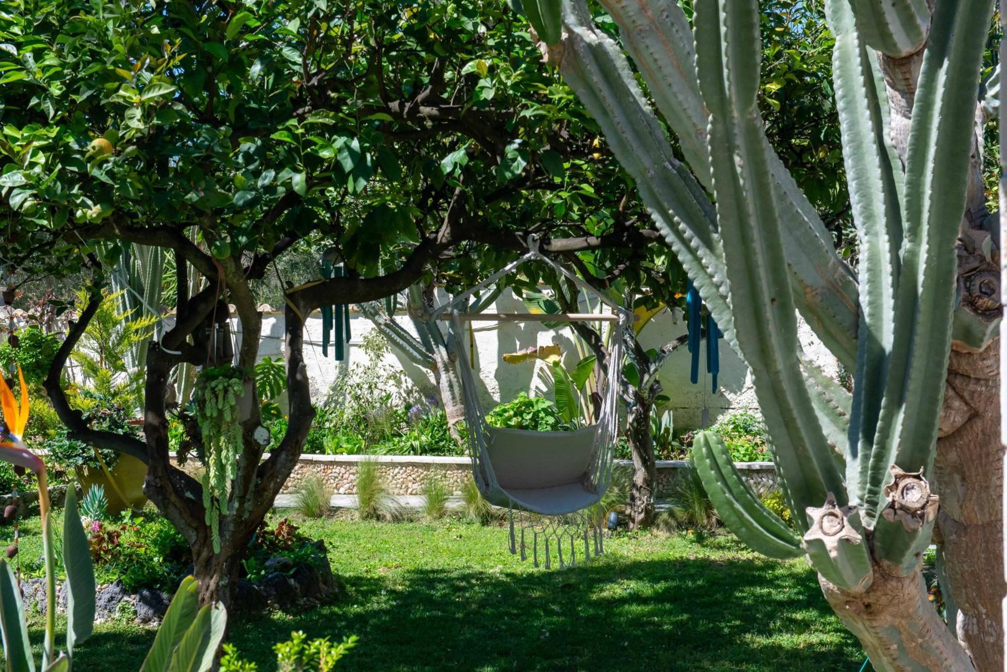 Alex Studios & Apartments Arillas  Exteriér fotografie