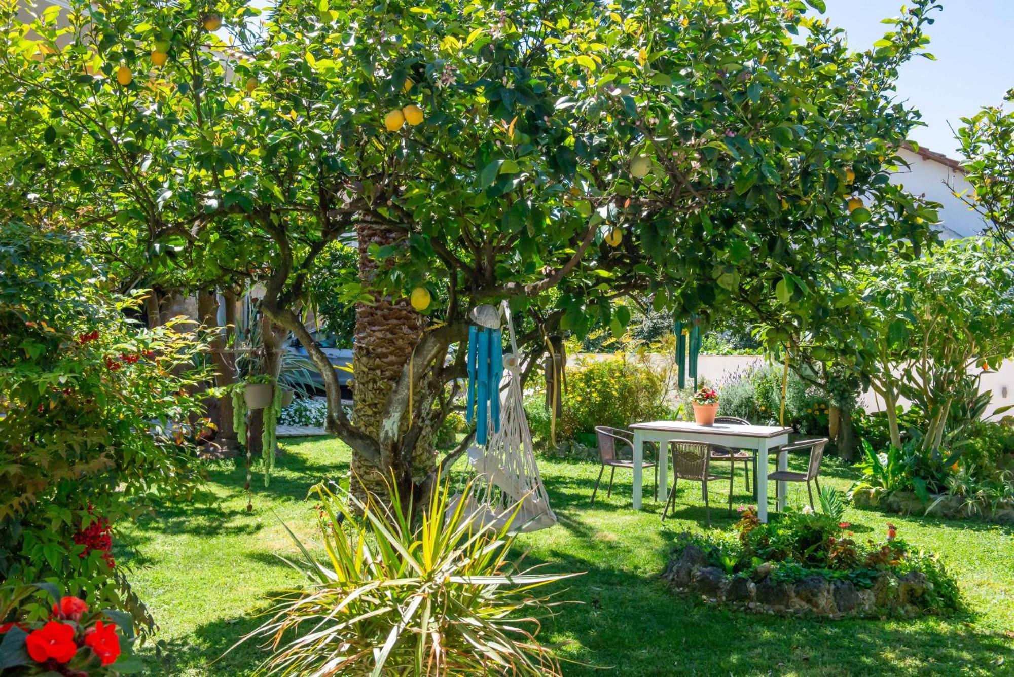 Alex Studios & Apartments Arillas  Exteriér fotografie